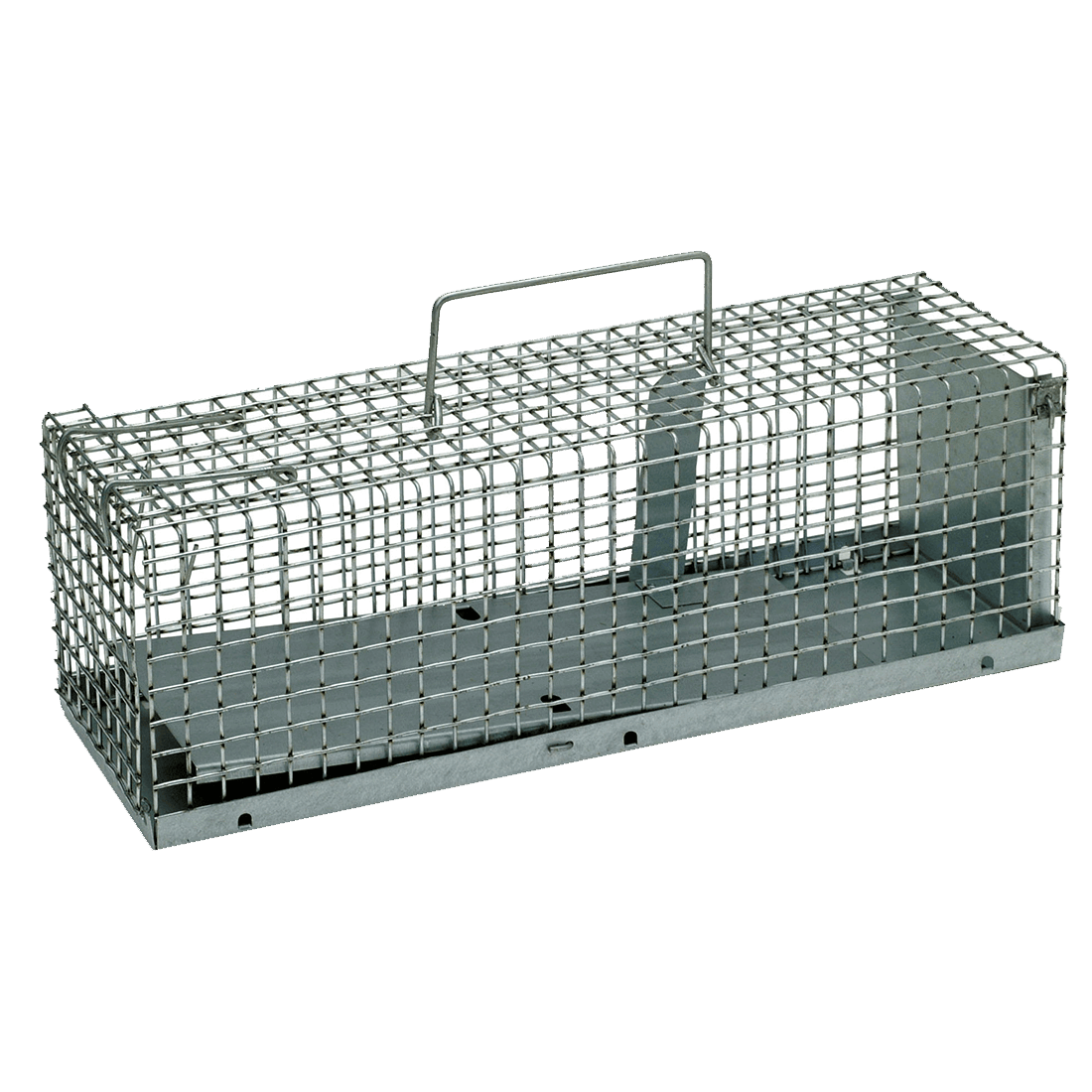 Cage piège à souris dans vos bâtiments agircole Agro Direct