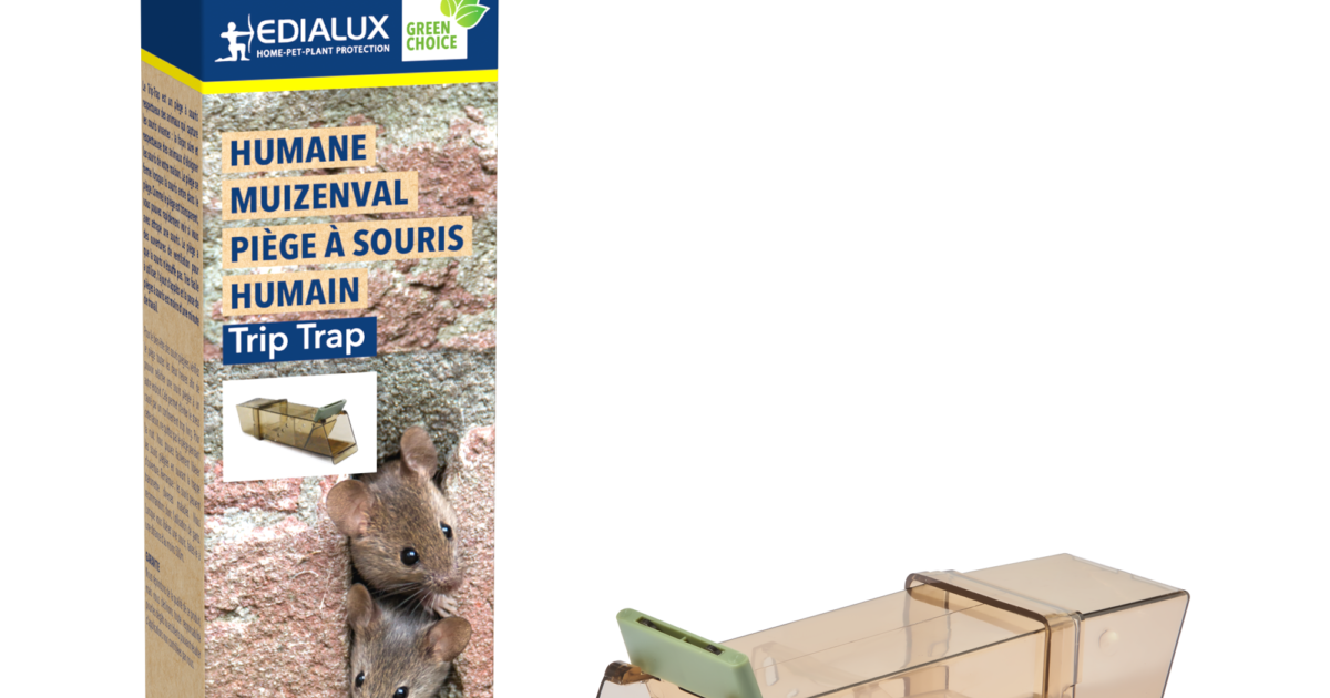 Werkfox® Piège vivant pour souris; Tiefreundliche Attrape-souris vivant ;  Méthode humaine de capture de souris ; Réutilisable & sûr (1 Pièce) :  : Jardin